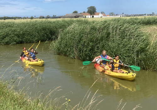 Kayak et canoë à travers des polders
